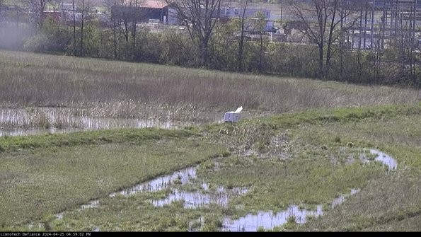 Cell 2 to 3_24-04-25_16-59-02-43