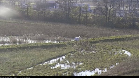 Cell 2 to 3_24-04-25_19-12-59-47