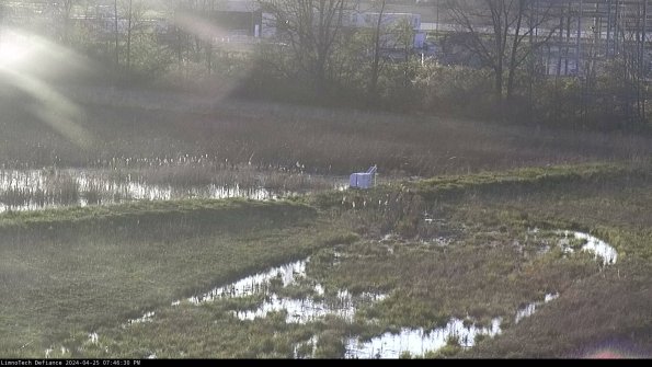 Cell 2 to 3_24-04-25_19-46-30-46