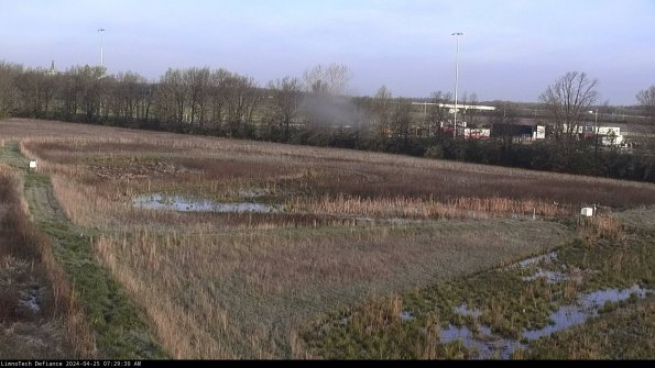 Cell 2_24-04-25_07-29-31-38