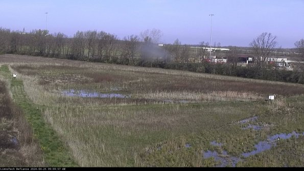 Cell 2_24-04-25_09-09-58-32