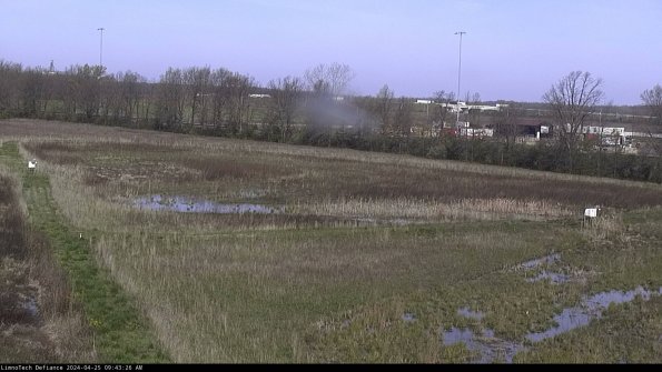 Cell 2_24-04-25_09-43-27-40