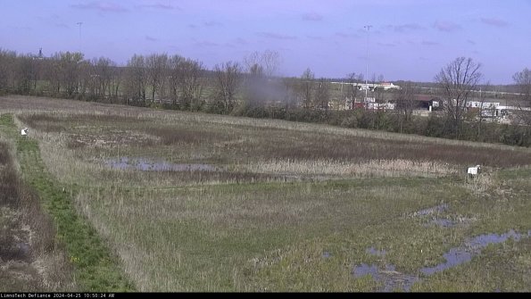 Cell 2_24-04-25_10-50-25-34