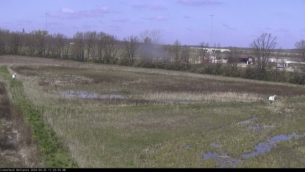 Cell 2_24-04-25_11-23-55-39