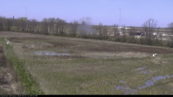 Cell 2_24-04-25_12-30-53-36