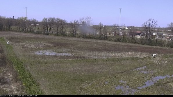 Cell 2_24-04-25_13-37-53-34