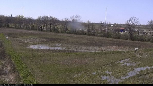 Cell 2_24-04-25_15-18-20-35