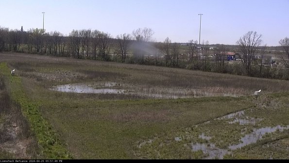 Cell 2_24-04-25_15-51-50-37