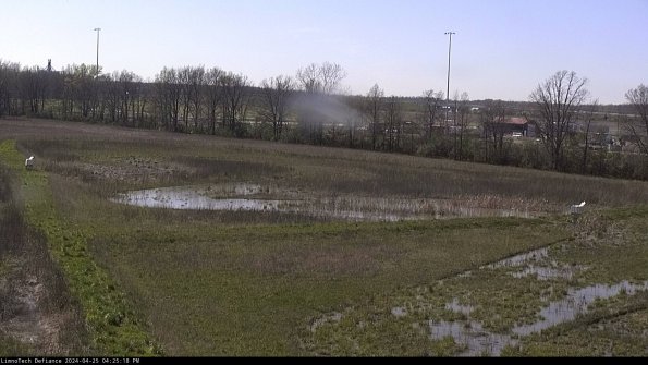 Cell 2_24-04-25_16-25-19-39