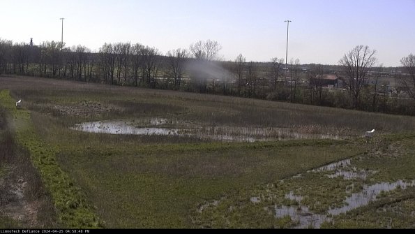 Cell 2_24-04-25_16-58-49-35