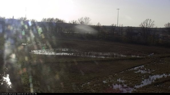 Cell 2_24-04-25_19-12-46-36