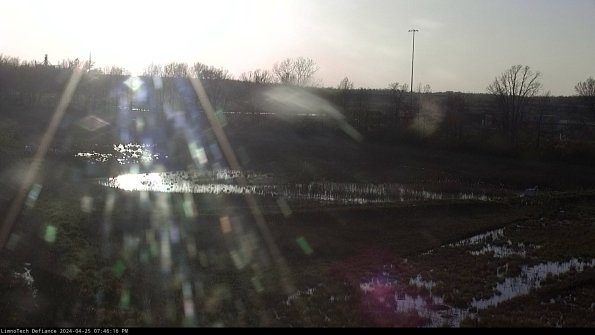 Cell 2_24-04-25_19-46-17-34