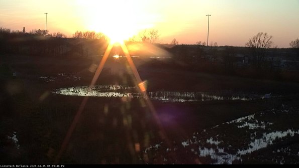 Cell 2_24-04-25_20-19-47-43