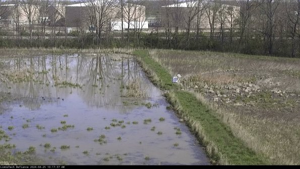 Cell 3 to 4_24-04-25_10-17-38-33