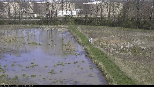 Cell 3 to 4_24-04-25_11-24-36-33