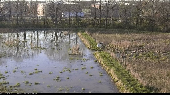 Cell 3 to 4_24-04-25_19-13-28-33