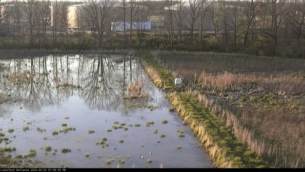 Cell 3 to 4_24-04-25_19-46-59-35