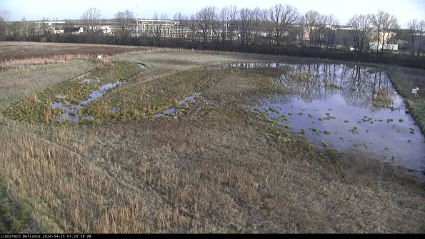 Cell 3_24-04-25_07-29-59-34