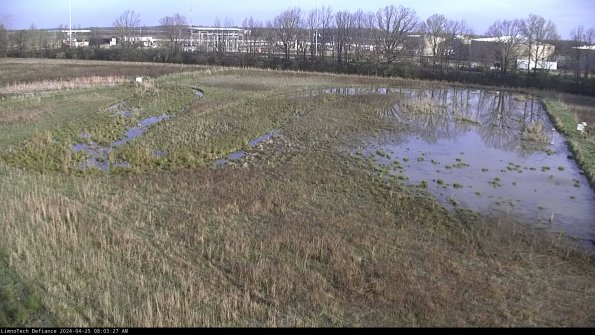 Cell 3_24-04-25_08-03-28-32