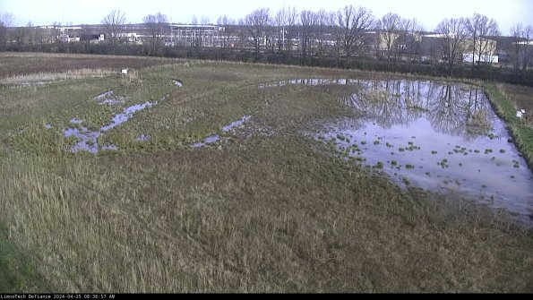 Cell 3_24-04-25_08-36-57-60