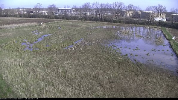 Cell 3_24-04-25_09-10-26-32