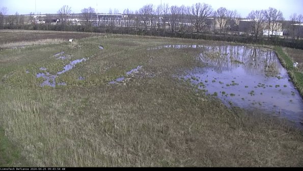 Cell 3_24-04-25_09-43-55-33