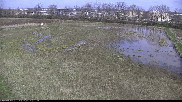 Cell 3_24-04-25_10-50-53-33