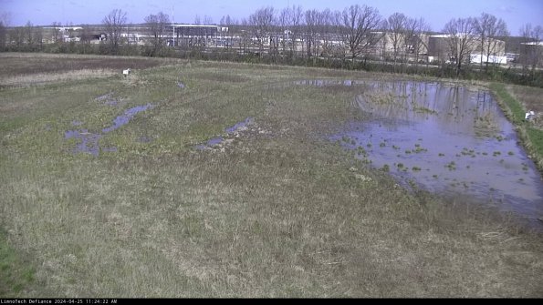 Cell 3_24-04-25_11-24-22-55