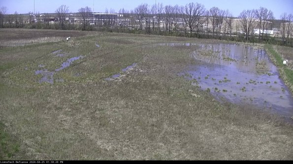 Cell 3_24-04-25_13-38-21-33