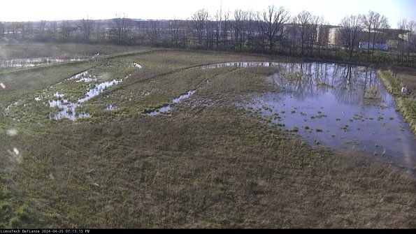 Cell 3_24-04-25_19-13-14-32