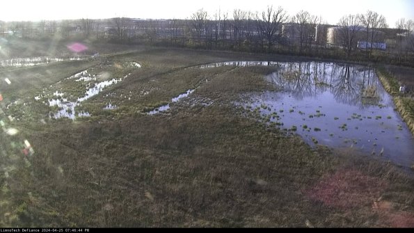 Cell 3_24-04-25_19-46-45-34