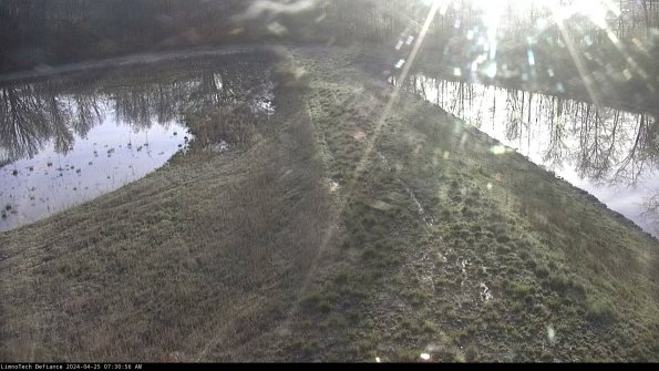 Cell 4 to Basin_24-04-25_07-30-57-36