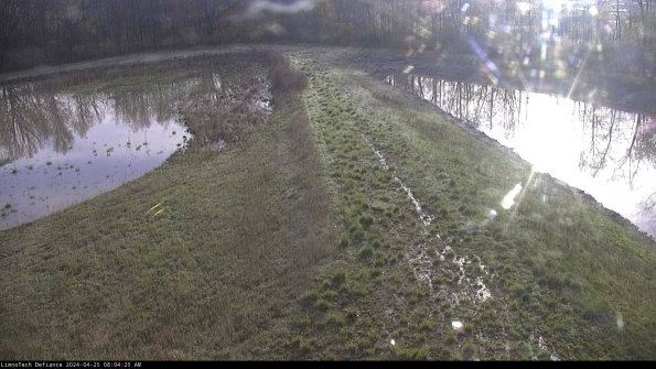 Cell 4 to Basin_24-04-25_08-04-26-34