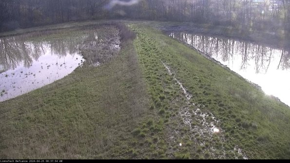 Cell 4 to Basin_24-04-25_08-37-55-36