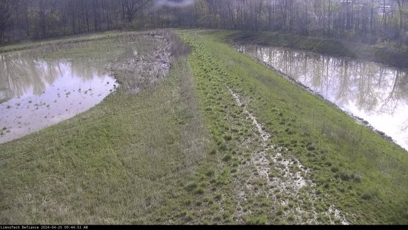 Cell 4 to Basin_24-04-25_09-44-53-32