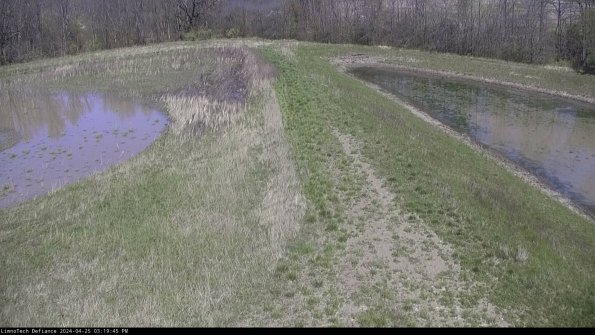 Cell 4 to Basin_24-04-25_15-19-46-34