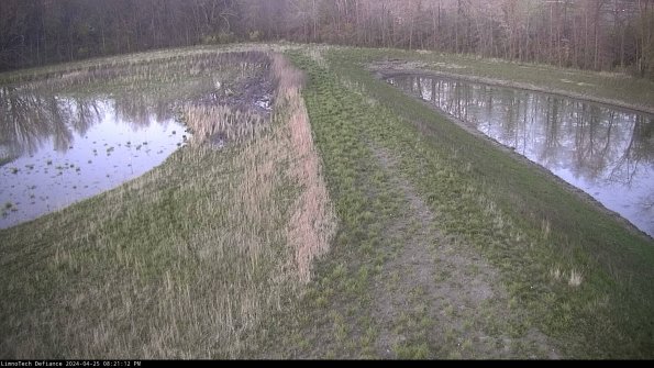 Cell 4 to Basin_24-04-25_20-21-13-35