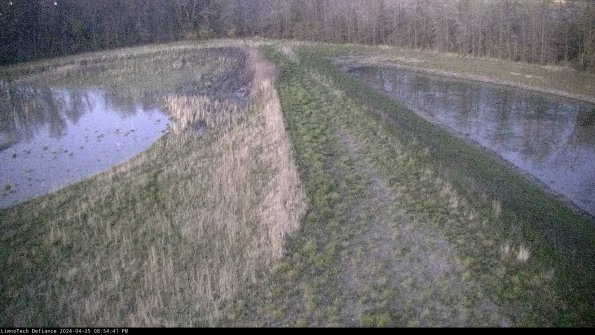 Cell 4 to Basin_24-04-25_20-54-42-33