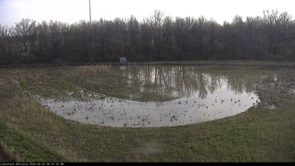 Cell 4_24-04-25_08-37-25-33