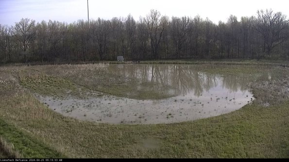 Cell 4_24-04-25_09-10-54-31