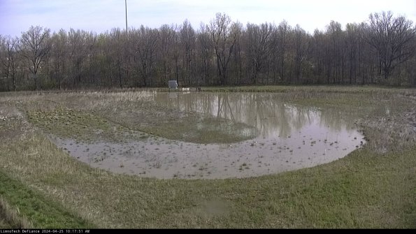 Cell 4_24-04-25_10-17-52-31