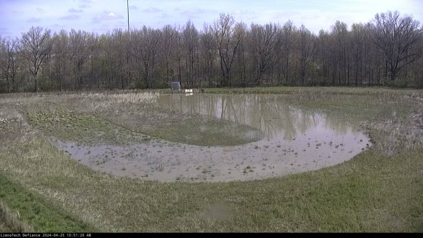 Cell 4_24-04-25_10-51-21-33