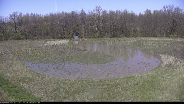 Cell 4_24-04-25_15-19-16-34