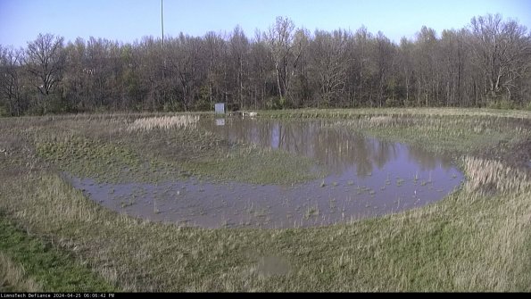 Cell 4_24-04-25_18-06-43-34