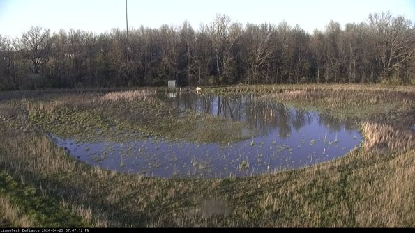 Cell 4_24-04-25_19-47-13-33