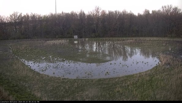 Cell 4_24-04-25_20-20-43-32