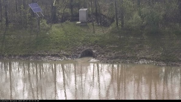 Basin Inflow_24-04-27_10-19-15-31