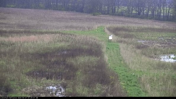 Cell 1 to 2_24-04-27_07-29-42-32