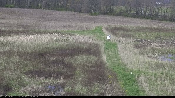 Cell 1 to 2_24-04-27_10-17-09-32