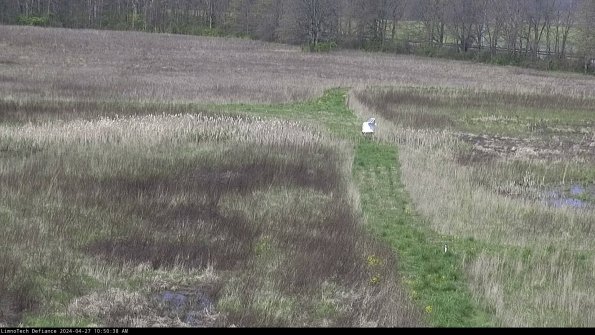 Cell 1 to 2_24-04-27_10-50-39-34